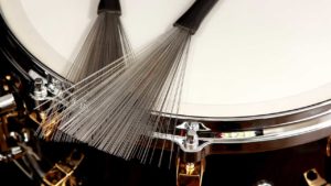 Master the Brushes