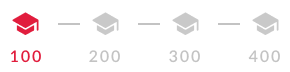 level100-bar